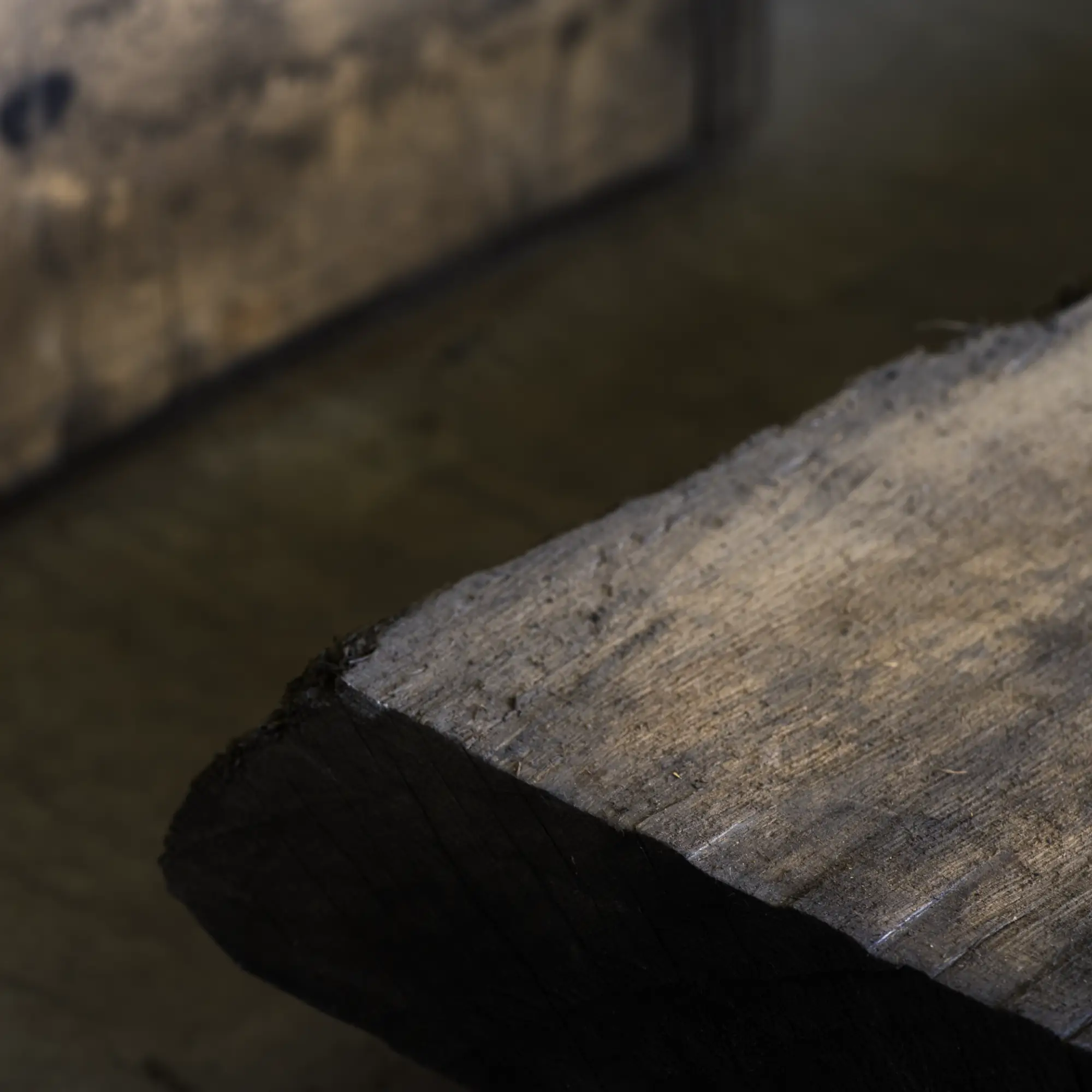 Detailaufnamen eines Mooreichenbretts